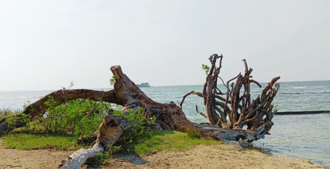 Pesona Kepulauan Seribu: Pantai Cantik hingga Benteng Bersejarah